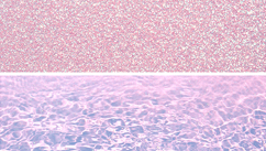 Розовый жемчуг